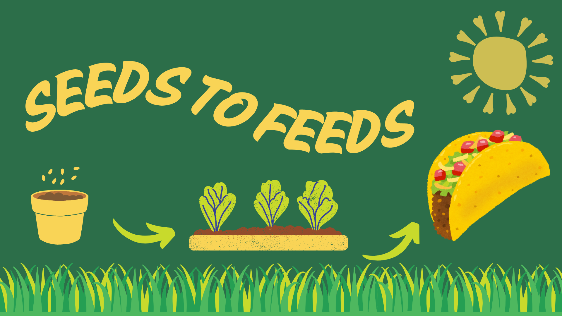 SEEDS TO FEEDS